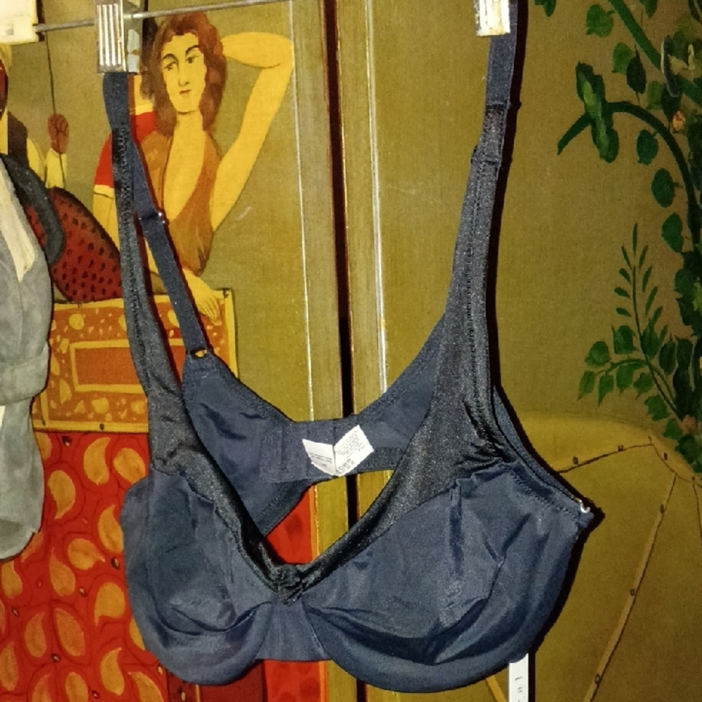 Navy Underwire Bra with Adjustable Straps